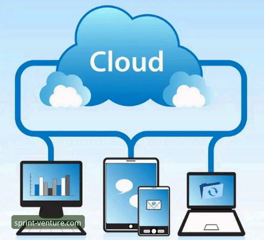 网页版与App版深度对比：如何通过开云官方网站最新活动最大化您的娱乐体验？